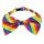Regenbogen Party Set Hosenträger Schleife Brille